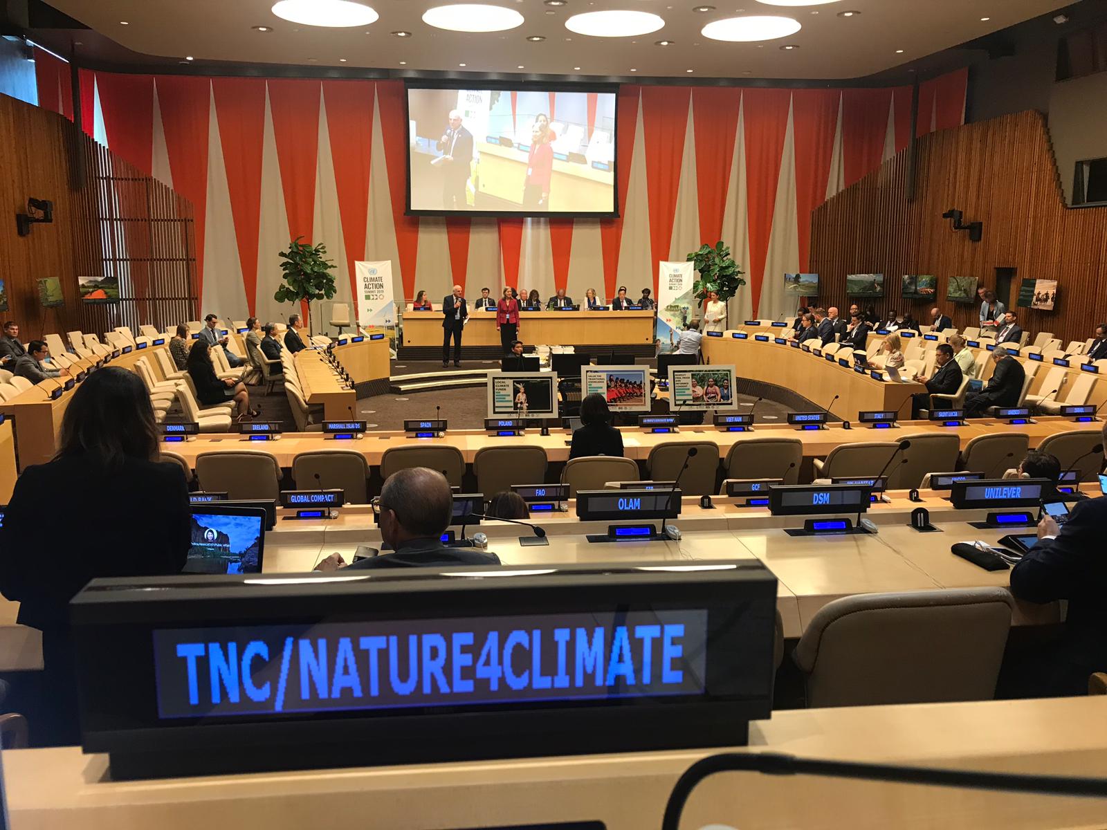 Takeaways from the UN Climate Summit 2019