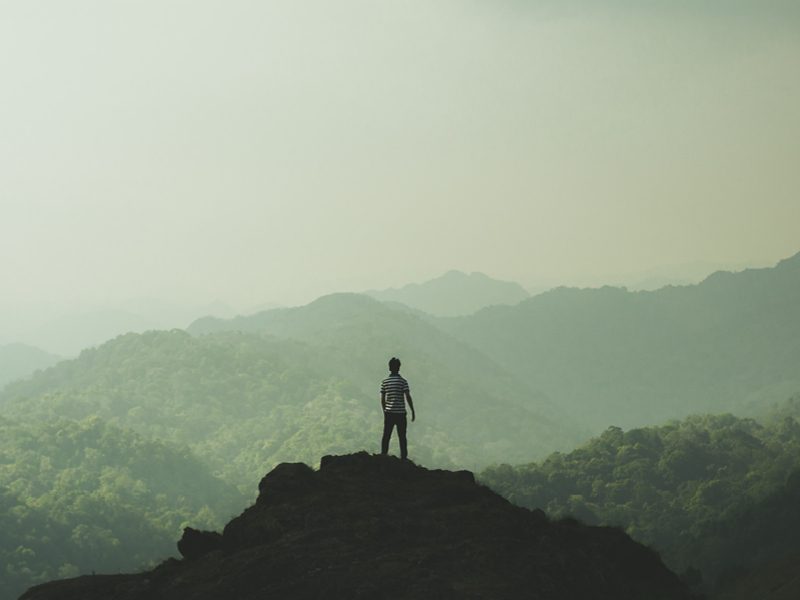 Young man stands at top of hill looking out over forests