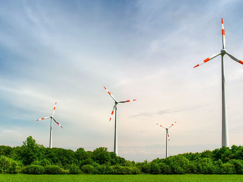 Wind Turbines in a field