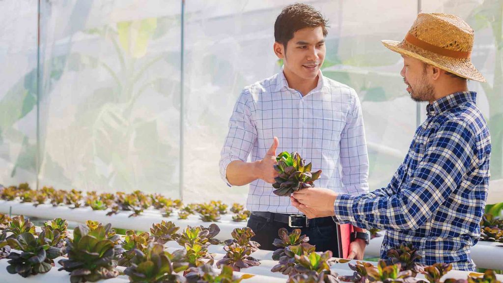 Two workers discuss growth of plants