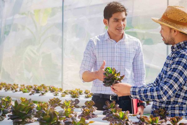 Two workers discuss growth of plants