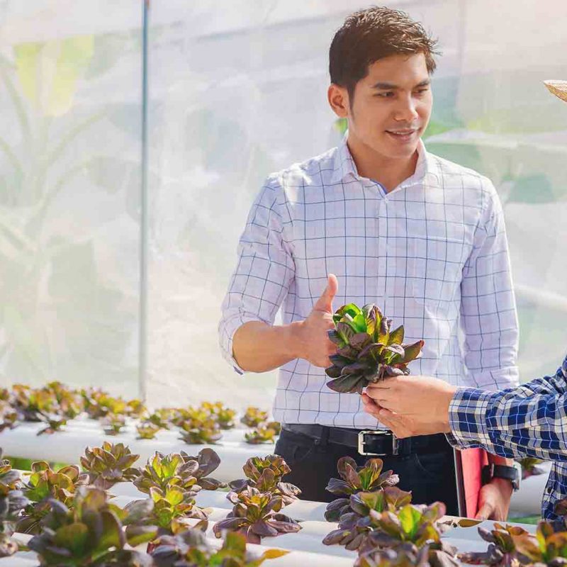 Two workers discuss growth of plants