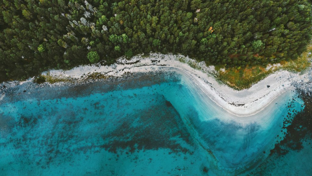 Aerial photo of sea meeting forests