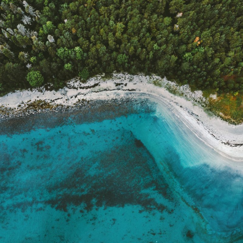 Aerial photo of sea meeting forests