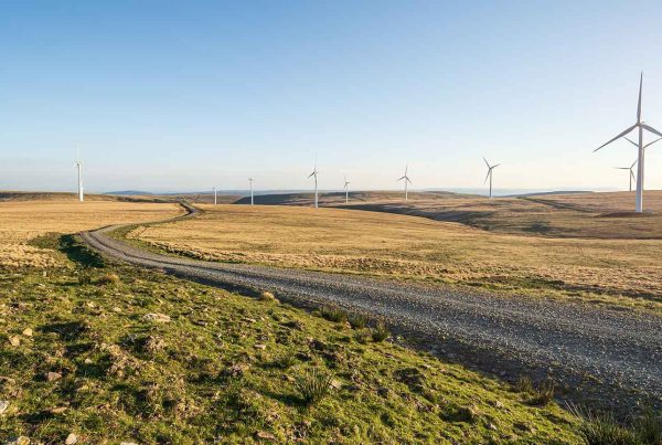 Green landscape with Wind farm