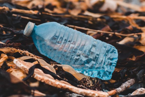 Plastic bottle resting on beach having been discarded