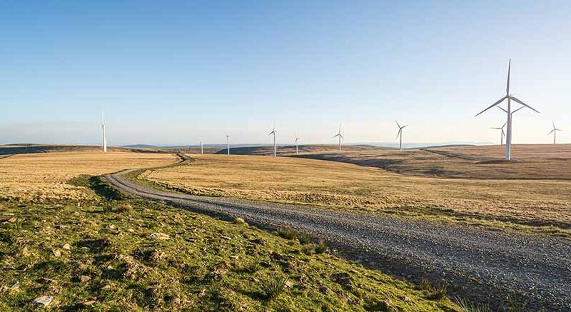 Green field with wind turbines