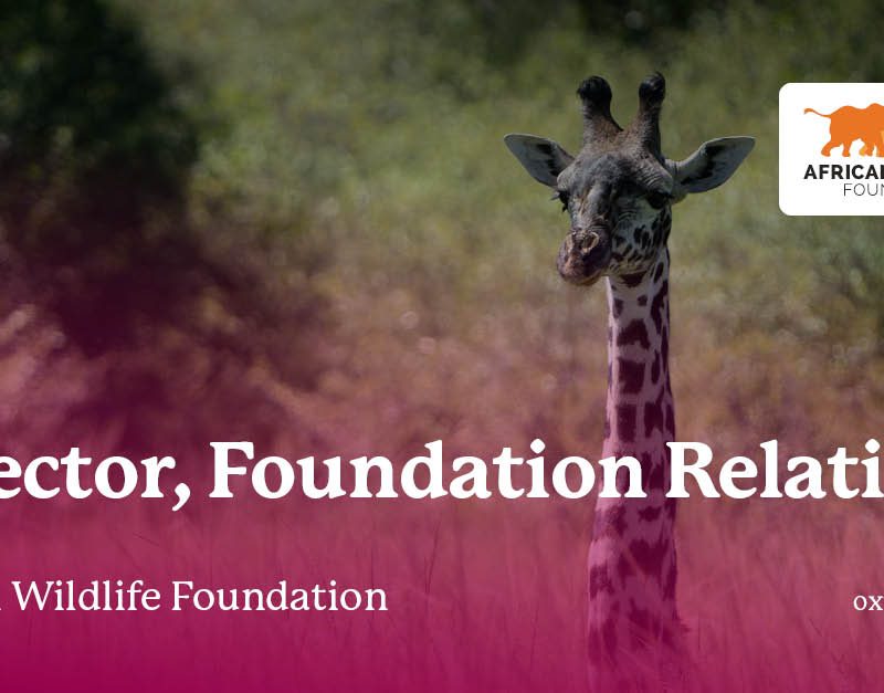 African Wildlife Foundation - Director, Foundation Relations