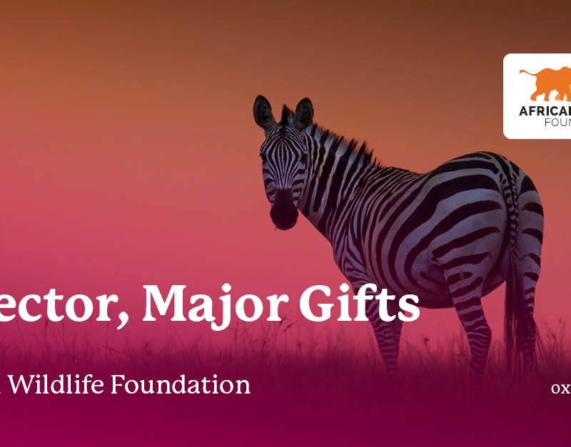 African Wildlife Foundation - Director, Major Gifts