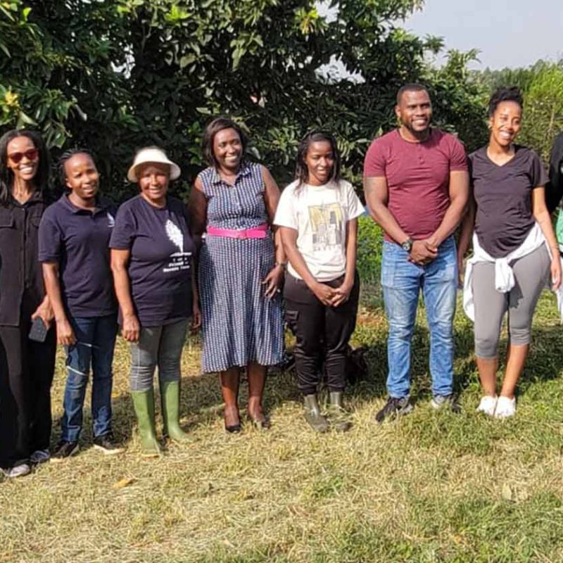 Oxford HR Africa team planting trees