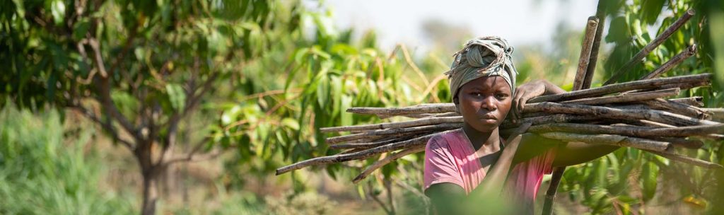 Woman carrying chopped down trees