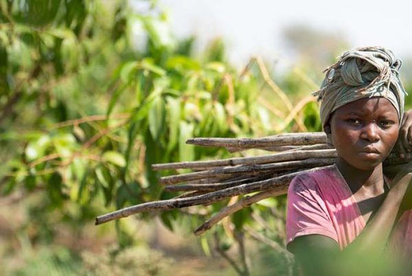 Woman carrying chopped down trees
