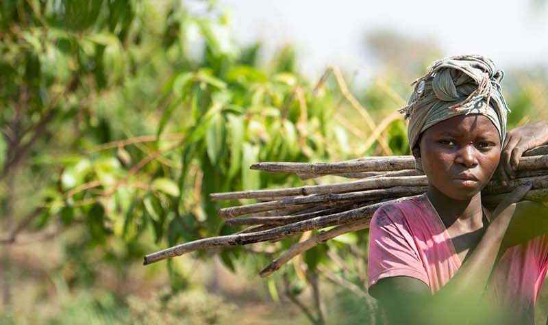 Woman carrying chopped down trees
