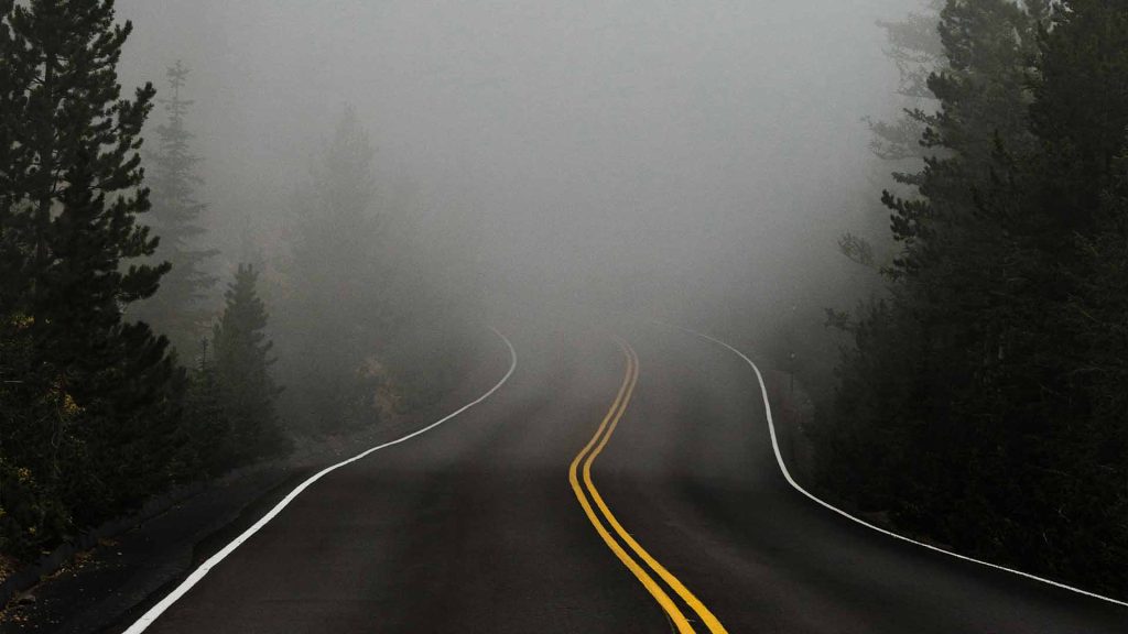 Road into fog between trees