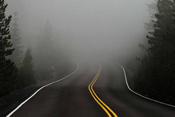 Road into fog between trees