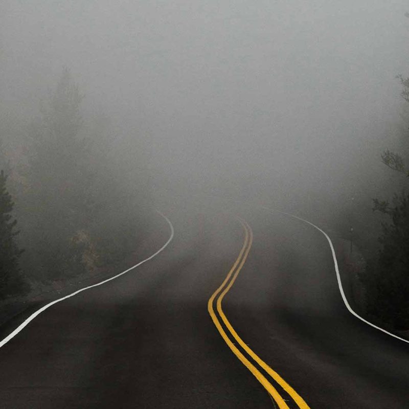 Road into fog between trees