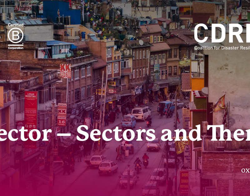 CDRI - Director, Sectors and Themes