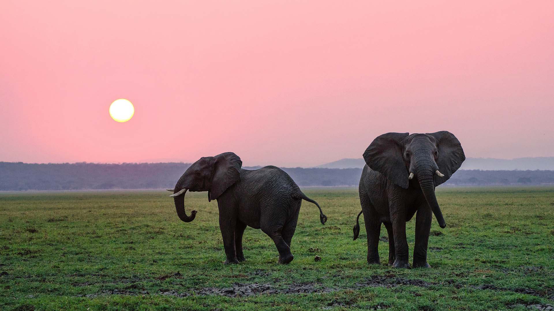From Exclusion to Leadership: A New Era in Conservation