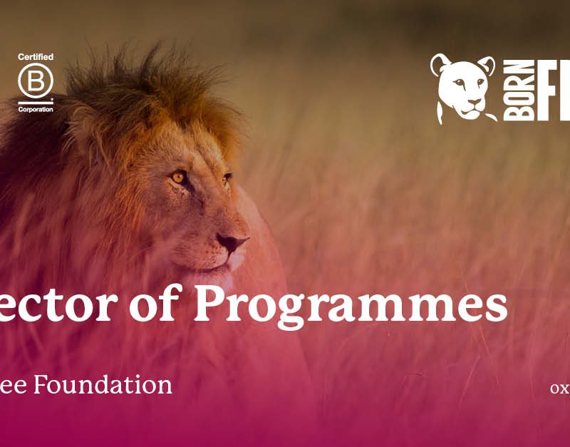 Born Free Foundation - Director of Programmes