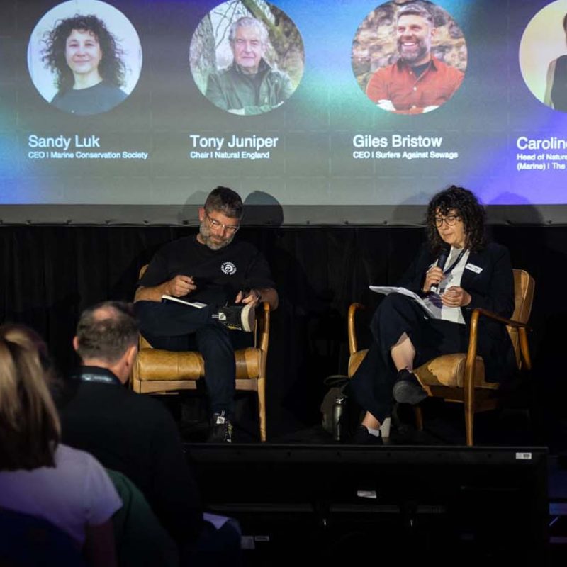 Participants on stage at Blue Earth Summit 2025