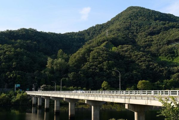 a bridge over a body of water with a mountain in the background in Daejeon, South Korea