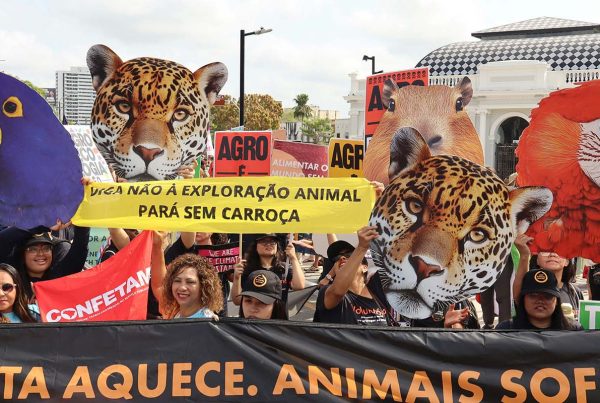 Protestors outside of COP30 in Belém, Brazil