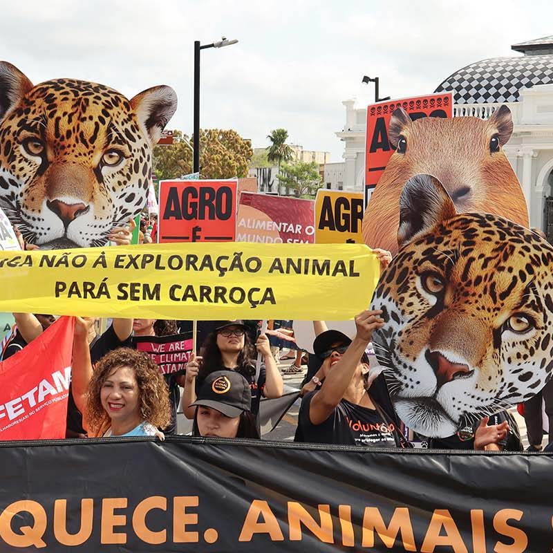 Protestors outside of COP30 in Belém, Brazil