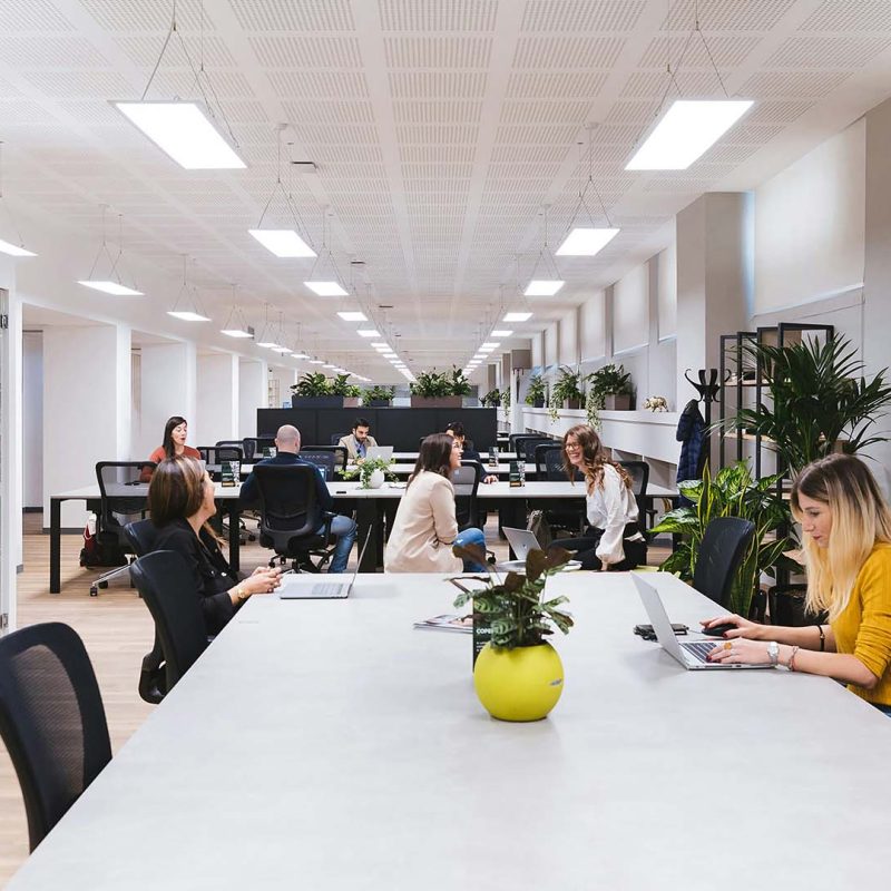 Team in startup office