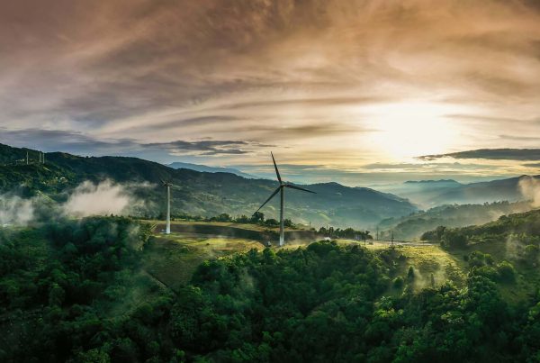Wind turbines atop a hill