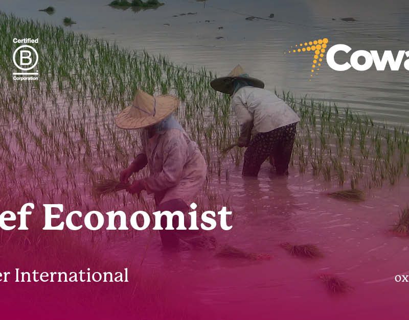 Cowater International - Chief Economist
