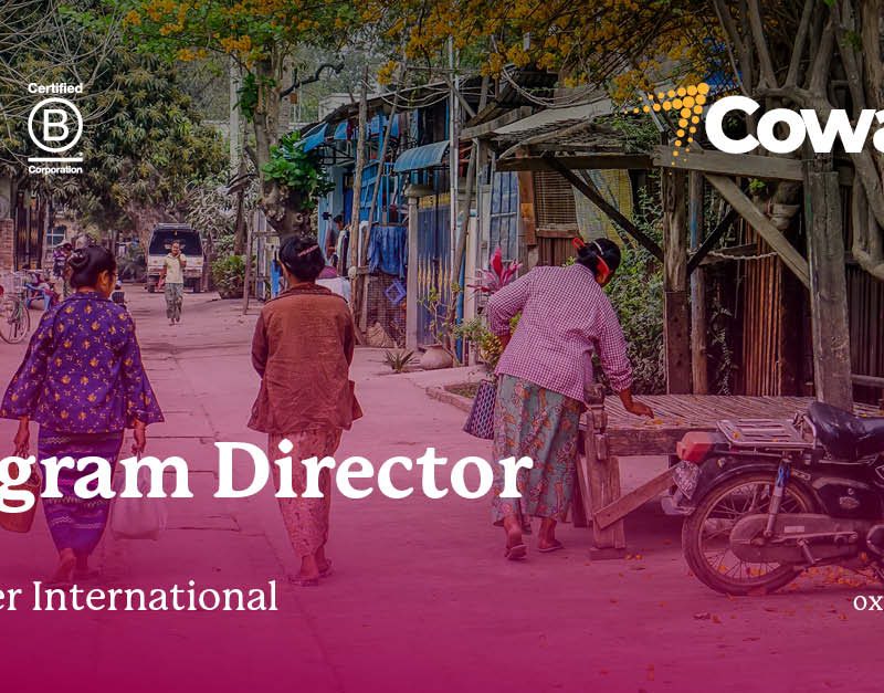 Cowater International - Program Director