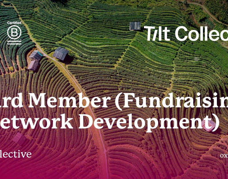 Tilt Collective - Board Member (Fundraising & Network Development)