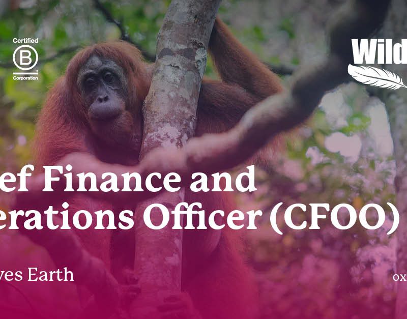 WildLives Earth - Chief Finance and Operations Officer (CFOO)