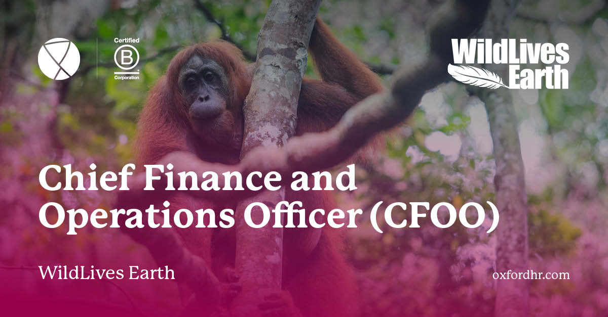 WildLives Earth - Chief Finance and Operations Officer (CFOO)