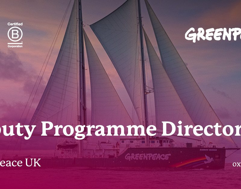 Greenpeace UK - Deputy Programme Director