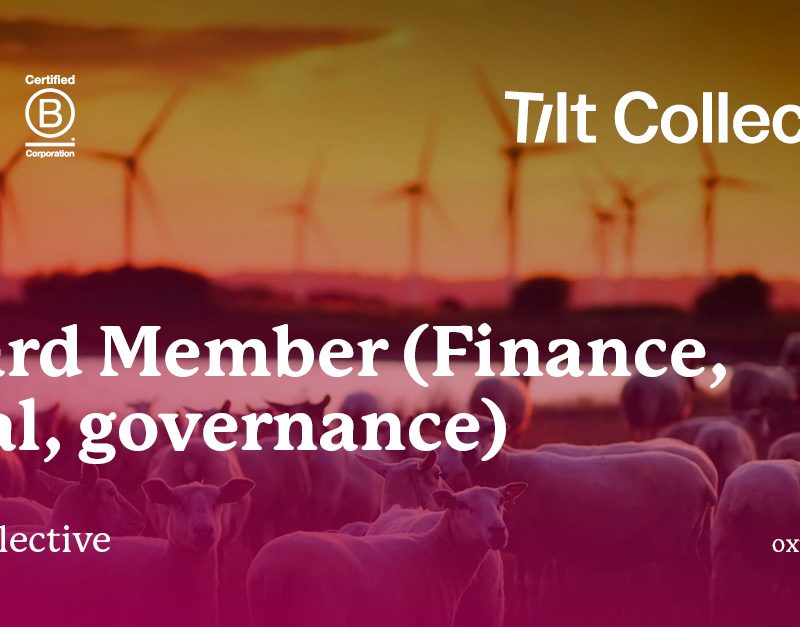 Tilt Collective - Board Member - Finance Legal Governance