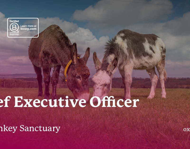 The Donkey Sanctuary - CEO