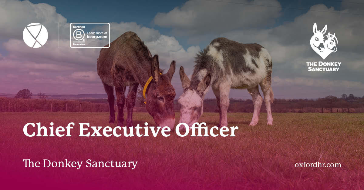 The Donkey Sanctuary - CEO